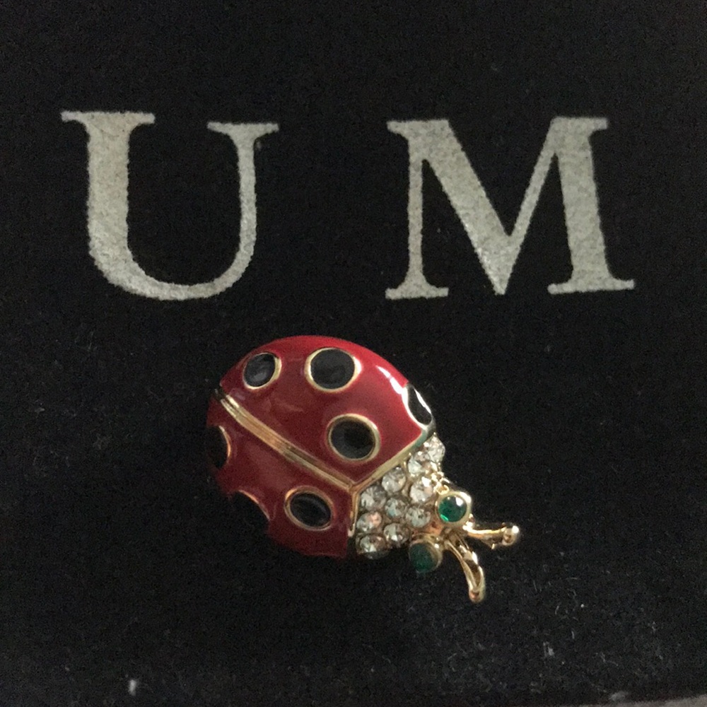 Crystal Ladybug brooch
